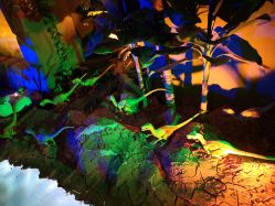 -恐龙探索乐园(磁器口店)