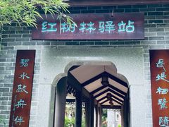 -大亚湾红树林城市湿地公园