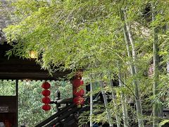 -大唐贡茶院