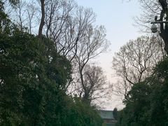 -灵谷景区