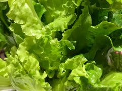 -古乐牛香·鲜牛肉牛杂火锅(新区店)