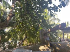 -海南分界洲岛旅游区