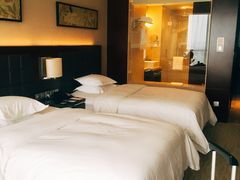-上海浦东绿地铂骊酒店