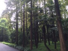 iphone_upload_pic-上海怡沁园度假酒店