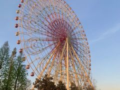 -七彩云南欢乐世界