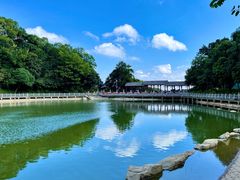 -广州市帽峰山景区