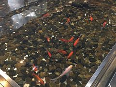 -上海怡沁园度假酒店