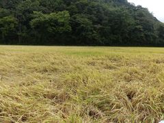 -贵阳市花溪国家城市湿地公园