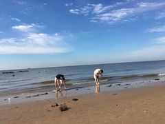 -老虎石海上公园