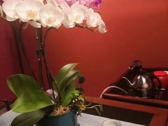 -璞·澐间影院式足道SPA(尚悦湾店)