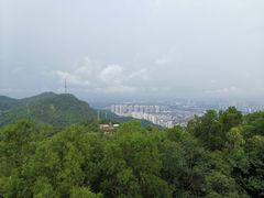 -大雁山风景区