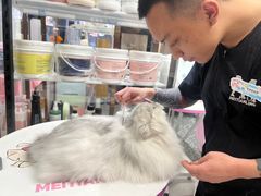 -FAELING PETS美天灵宠物(富力广场店)