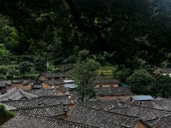 -杨家堂村