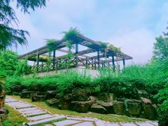-上海鲜花港