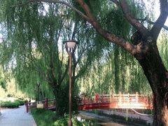 -元大都城垣遗址公园