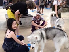 -TrueLove @ Neverland (Husky Cafe)