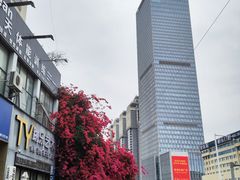 -南宁南湖公园