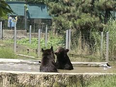 -秦皇岛野生动物园