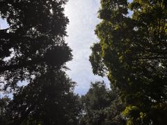 -都江堰普照寺