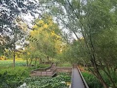 -郑州植物园