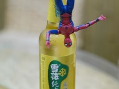 -多哥水傣味餐厅(司马巷店)