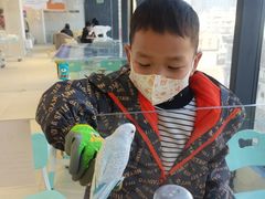 -怪兽屋·羊驼·猫咖·狗咖(俊华广场店)