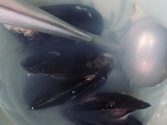 淡菜汤-如我美食(达道社区店)