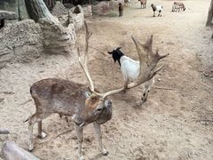 -长鹿旅游休博园