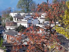 -塔川景区