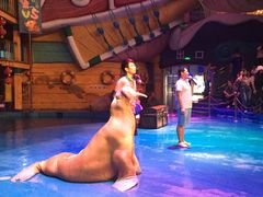 -烟台海昌鲸鲨海洋公园