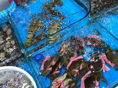 -胡家庙海鲜副食批发市场