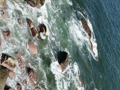-广东惠东海龟国家级自然保护区