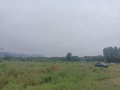 -沣峪口