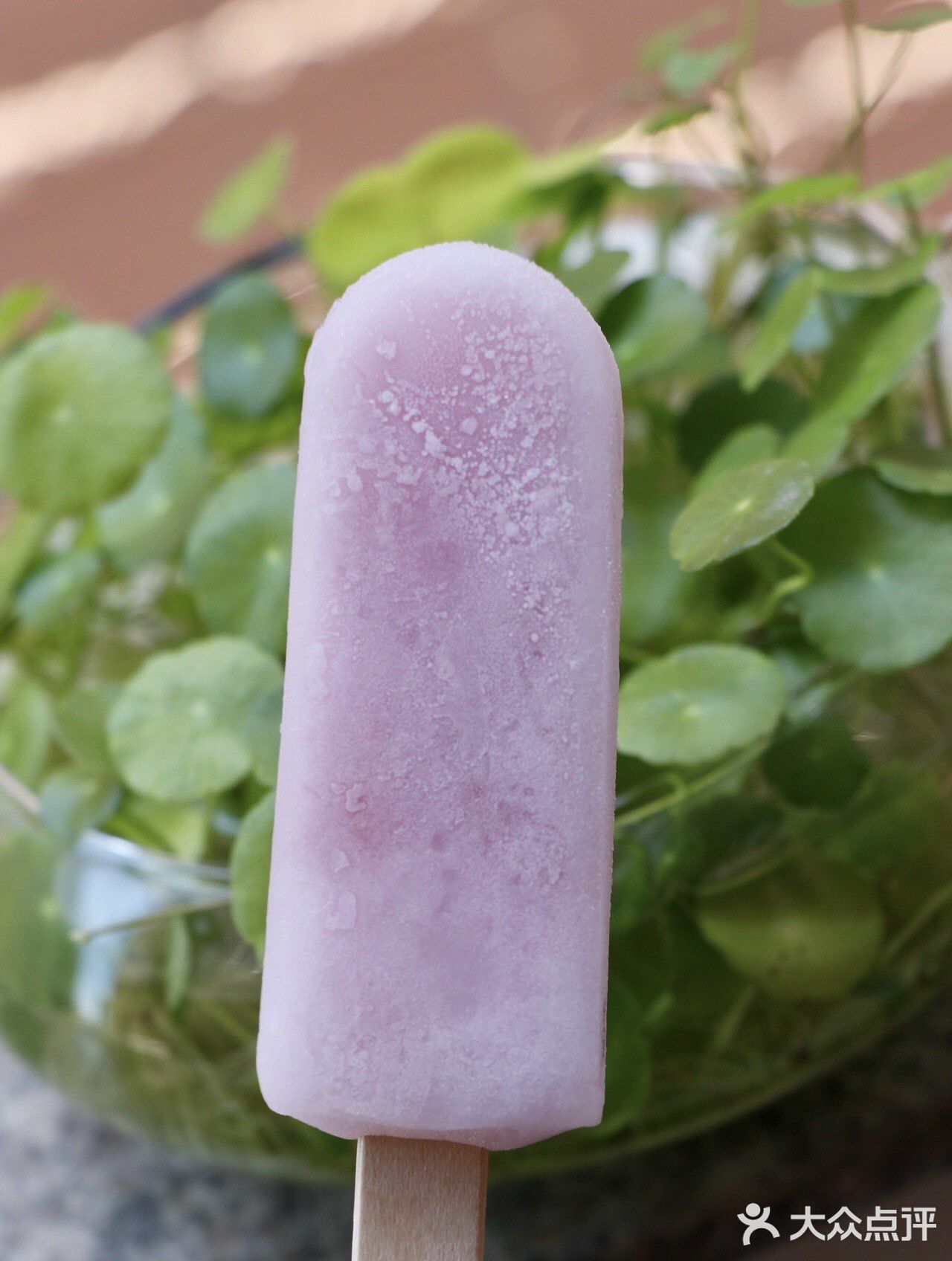 水果味冰棒就选这个零度企鹅玫瑰荔枝味