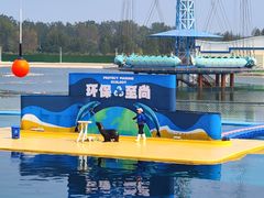 -秦皇岛乐岛海洋王国