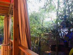 -先机泉水鸡汤(南山老君洞店)