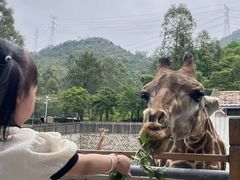 -泉州海丝野生动物世界