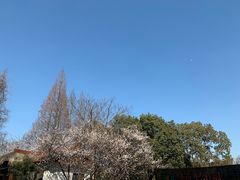 -同里国家湿地公园