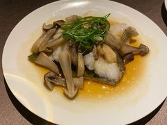 鸡枞菌蒸黄皮老虎斑-三利音·东方司宴(外滩店)