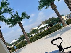 -秦皇岛乐岛海洋王国