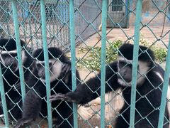 -秦皇岛野生动物园