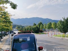 -北京西山国家森林公园