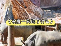 -长鹿旅游休博园
