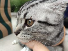 -星巴克(首钢店)