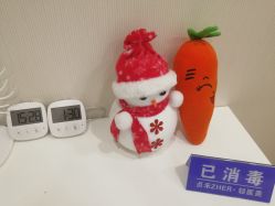 -贞禾医美·连锁