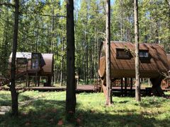 -黄海国家森林公园