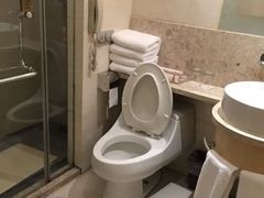 -南京钟山宾馆(江苏省会议中心)