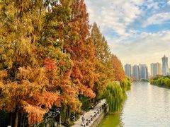 -运河游船(武林门码头)