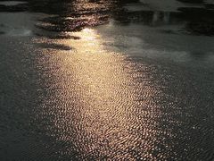 -晓港公园