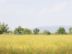 -良渚古城遗址公园